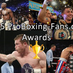 The 2015 boxing awards