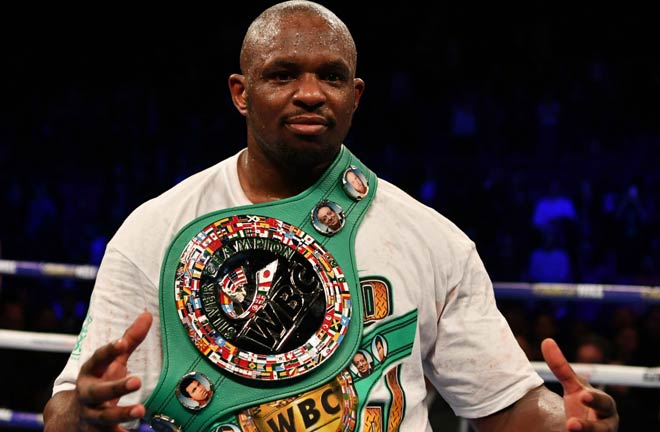 Whyte is hoping for a world title shot by the end of the year. Credit: Sporting News