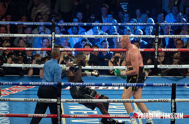 Fury dramatically stopped Wilder in seven rounds last February.  Photo: Professional boxing fans