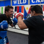 Pacquiao has been training back at the Wild Card Gym Photo Credit: Pro Boxing Fans