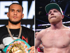 Canelo vs Benavidez splits opinion in the boxing world Photo Credit: Ryan Hafey/Premier Boxing Champions/Ed Mulholland/Matchroom