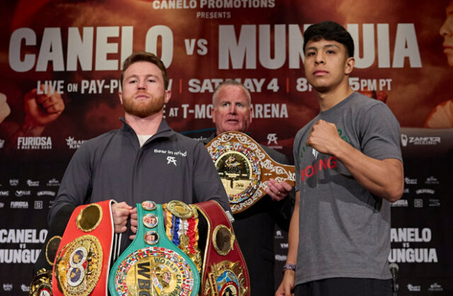 Canelo Alvarez will defend his undisputed super middleweight crown against Jaime Munguia on Saturday in Las Vegas.  Photo: Esther Lin/Premier Boxing Champions