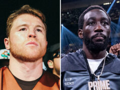 Canelo Alvarez's showdown with Terence Crawford will take place at Allegiant Stadium in Las Vegas Photo Credit: Amanda Westcott/Matchroom/Esther Lin/SHOWTIME