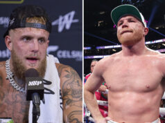 Jake Paul has hit out at Canelo Alvarez after he rejected a fight with him Photo Credit: Esther Lin/MVP/Ed Mulholland/Matchroom